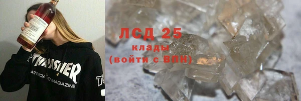 PSILOCYBIN Балабаново
