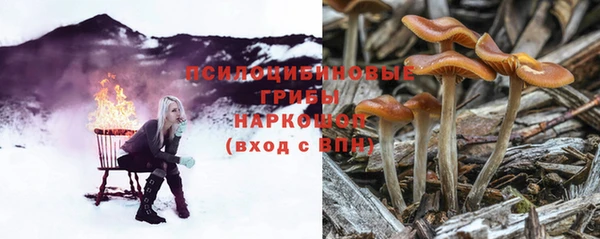 скорость Баксан